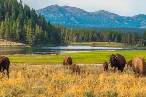 An Adventure in the Rockies foto 6