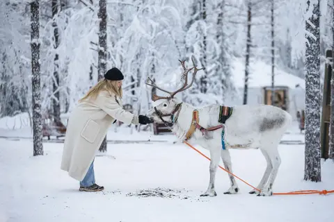 Vaattunki Wilderness Resort in Rovaniemi