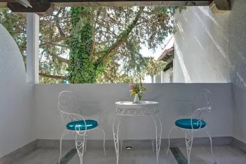 Hotel Aleksandar in Rafailovići, foto 19