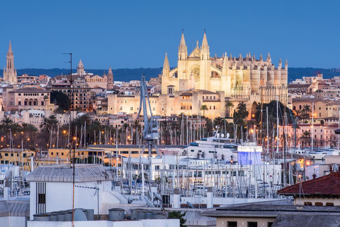 INNSiDE Palma Bosque foto 26