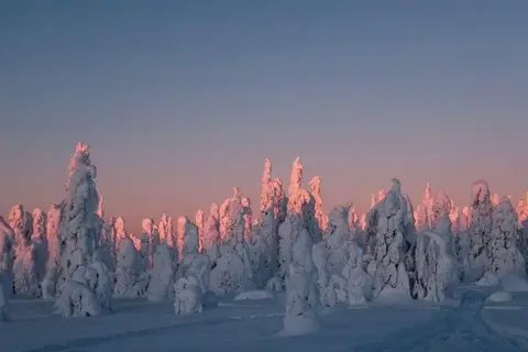 5-daags Winteravontuur Levi in Fins Lapland — foto 8