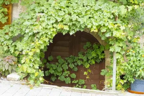 Hotel Landgasthof Lell foto 15