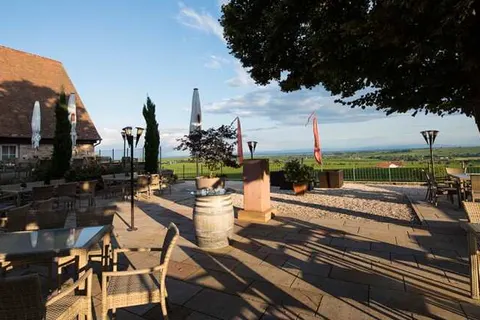 Hotel Leinsweiler Hof foto 16