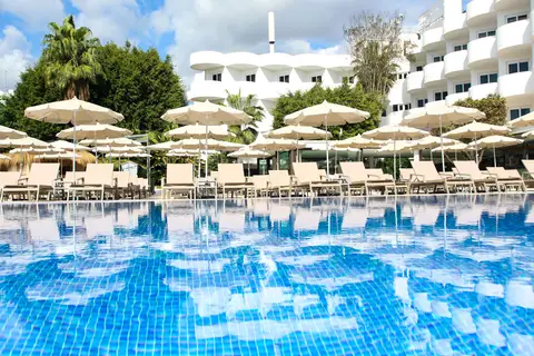 Sentido Fido Tucan in Santanyí — foto 17
