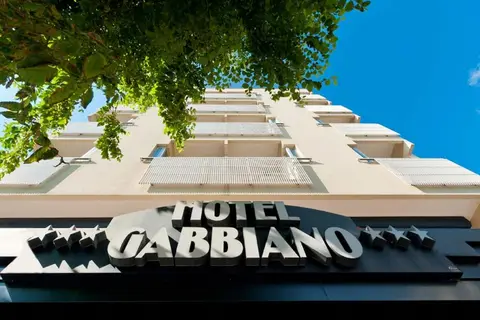 Gabbiano in Rome — foto 7