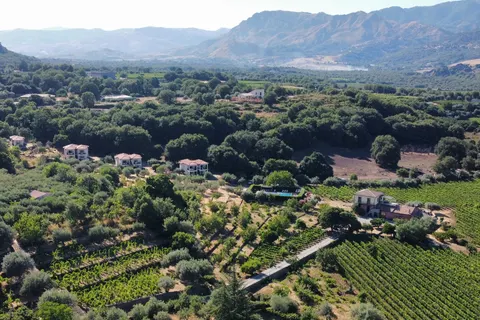 Tenuta Madonnina in Castiglione di Sicilia — foto 30