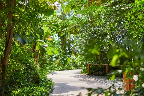 Tropical Island Resort foto 12