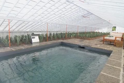 Hotel Herdade do Ananas in Ponta Delgada — foto 17