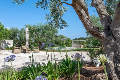 Trulli Damor in Locorotondo — foto 18