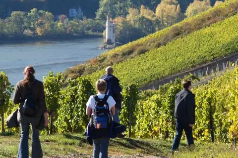 Hotel Zum Grünen Kranz foto 36