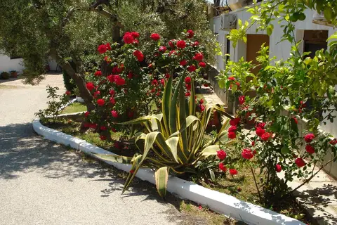 Asteris Village in Γερακινή — foto 28
