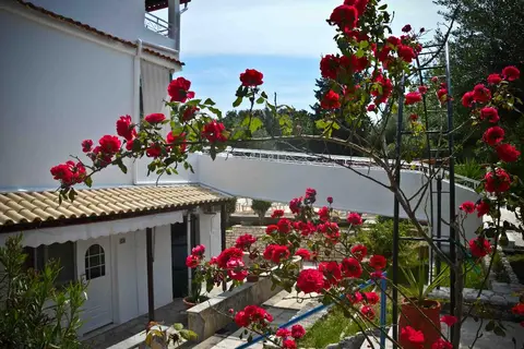 Katia Beach Hotel in Δημοτική Ενότητα Κασσωπαίων — foto 11