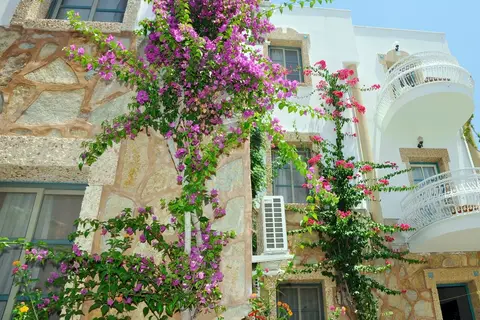 Siesta Beach Apartments in Bodrum — foto 6