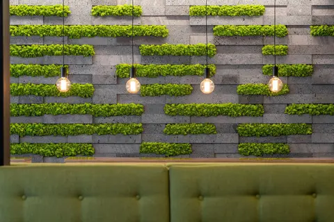 Neat Hotel Avenida in Ponta Delgada — foto 11