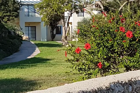 Bimbolla Apartaments in Ciutadella, foto 13