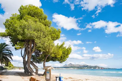 Eix Platja Daurada foto 3