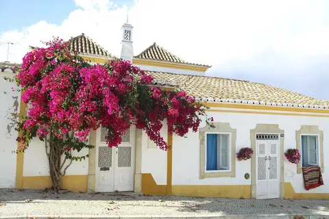 Algarve Hostel in Mexilhoeira Grande — foto 2