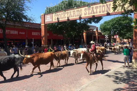 Route 66 & Texas Hill Country in Bandera — foto 3
