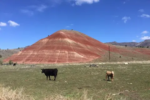 Oregon op het gemak in Tulsa — foto 14