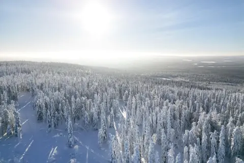 8 daagse excursiereis Ontdek Arctic Lakeland foto 5