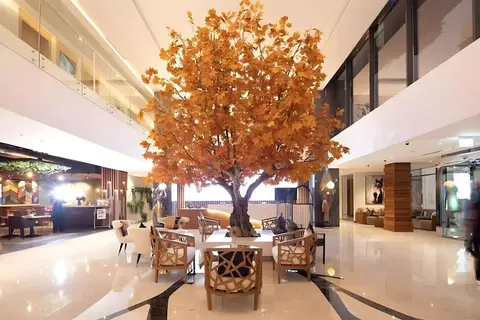 C Central Resort The Palm in Dubai — foto 9
