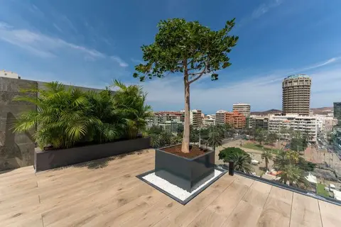 Hotel LIVVO Lumm in Las Palmas de Gran Canaria, foto 14