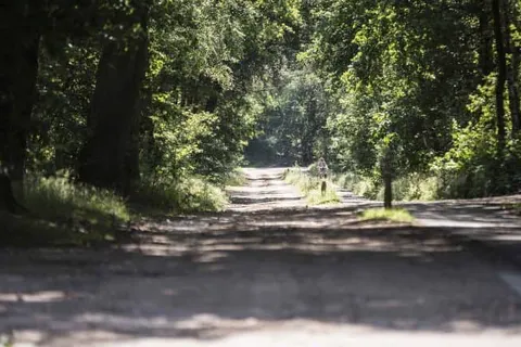 Landgoed De Uitkijk foto 24