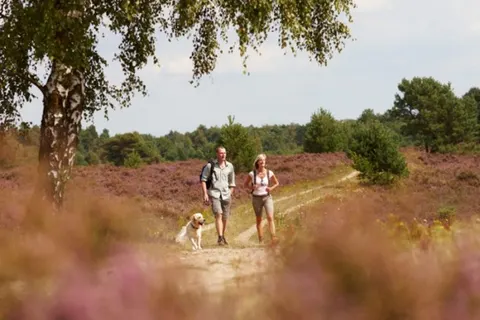 Camping Sonnenberg foto 18