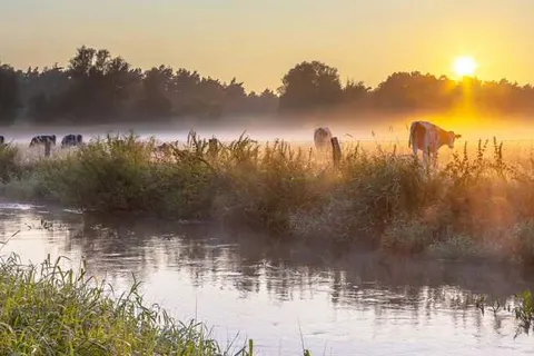 Fiets- of autovakantie Overijssel (Twente-Salland) foto 2