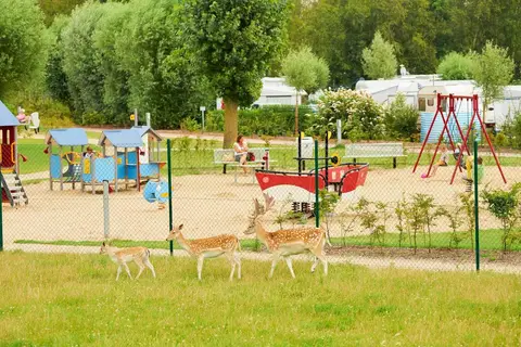 Camping Kompas Nieuwpoort in Nieuwpoort — foto 16