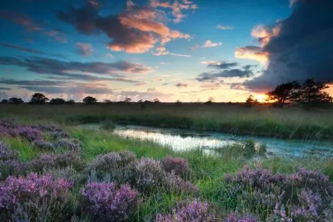 Bed en Breakfast Annen foto 18