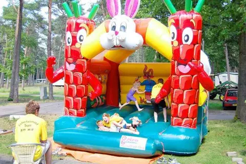 Oostappen Vakantiepark Arnhem foto 12