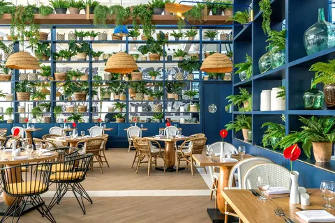 Ocean Riviera Paradise foto 2