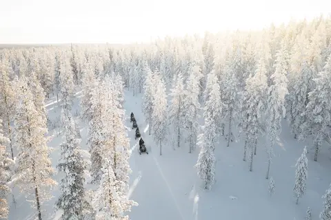 Vaattunki Wilderness Resort in Rovaniemi, foto 13