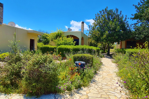 Marialena Villas foto 16