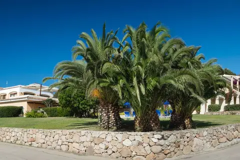 Myo Hotel Stelle Marine in Cannigione — foto 16