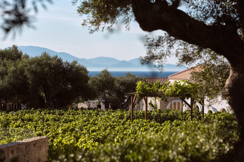 Lesante Cape - The Leading Hotels of the World foto 21