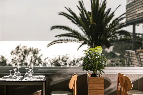 Hotel Blue Dolphin foto 13