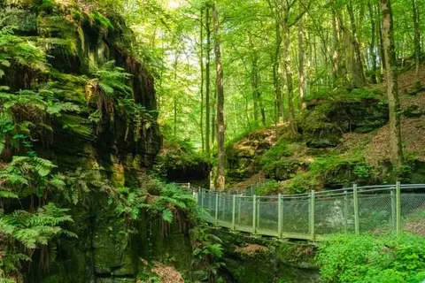 Resort Walsdorf foto 15