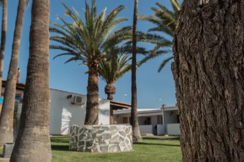 Rebecca Park in Playa del Inglés — foto 22