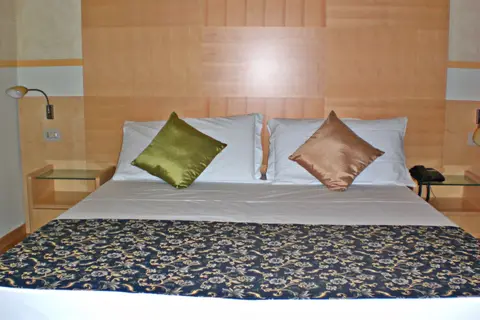 Laerte Palace Hotel in Mogliano Veneto — foto 8