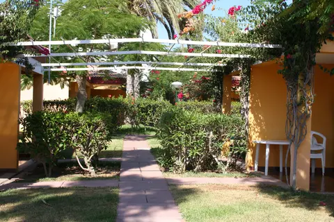 Bungalows Artemisa in Playa del Inglés — foto 13