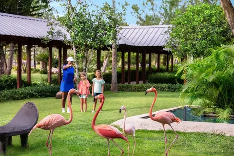Hilton La Romana in San Rafael del Yuma — foto 25
