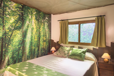 Magic Robin Hood foto 23