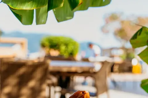 Hotel Caprea in Marmaris, foto 13
