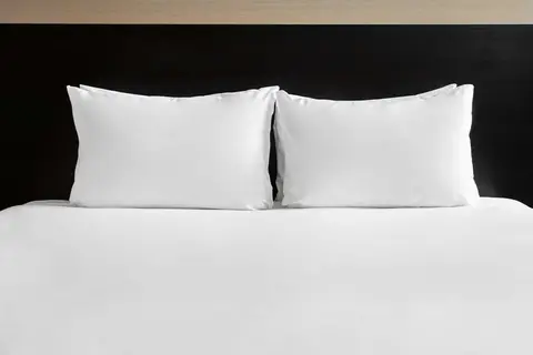Holiday Inn London Regent's Park in Londen, foto 11