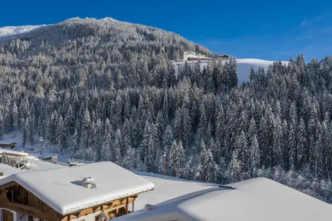 Hotel Alphof - kort verblijf in Alpbach — foto 9