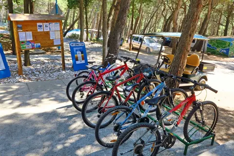 Camping Bijar foto 8