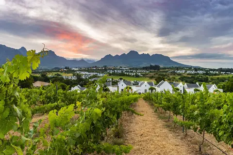De Zalze Lodge in Bellville — foto 19