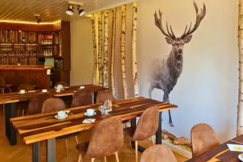 Hotel Harzresidenz in Thale — foto 2